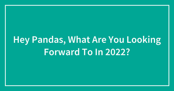 Hey Pandas, What Are You Looking Forward To In 2022? (Closed)