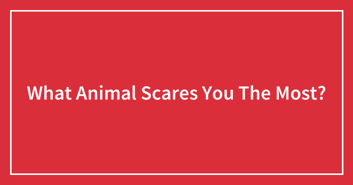 What Animal Scares You The Most? (Closed)