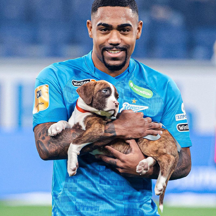 Russian Football Team Won People’s Hearts After Walking On Field With Shelter Dogs To Promote Adoption (14 Pics)