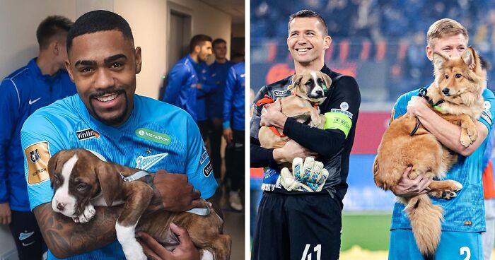 Russian Football Team Won People's Hearts After Walking On Field With  Shelter Dogs To Promote Adoption (14 Pics)