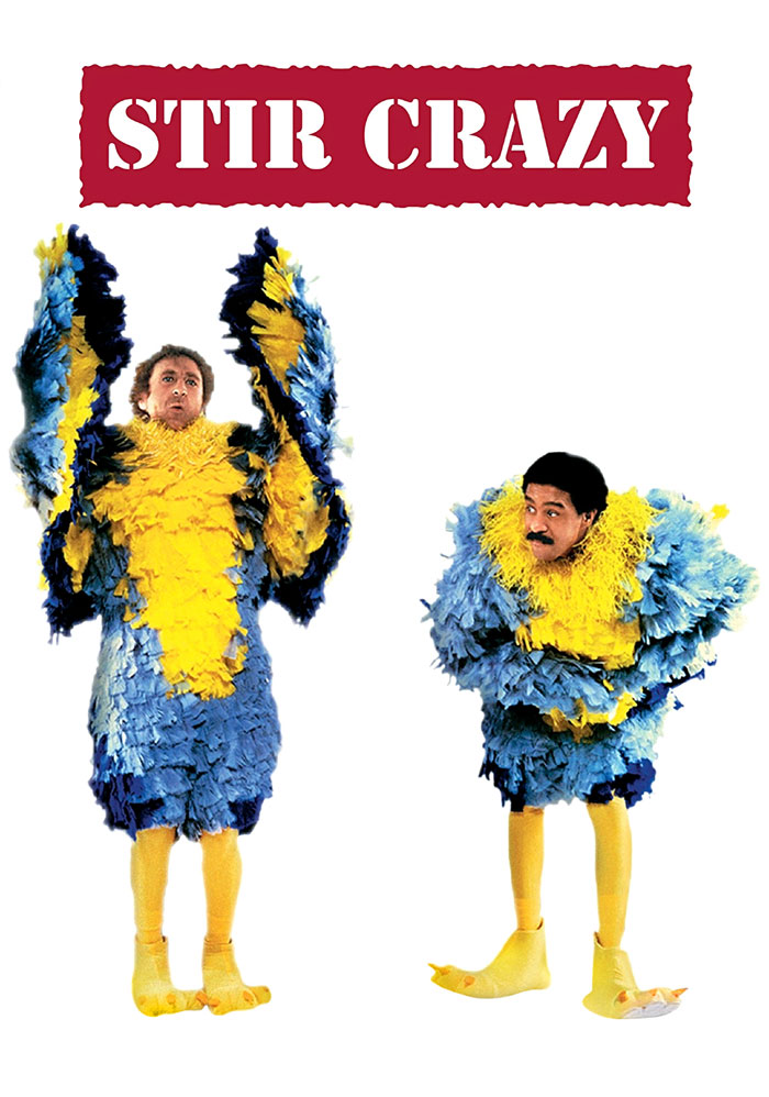 Poster of Stir Crazy movie 