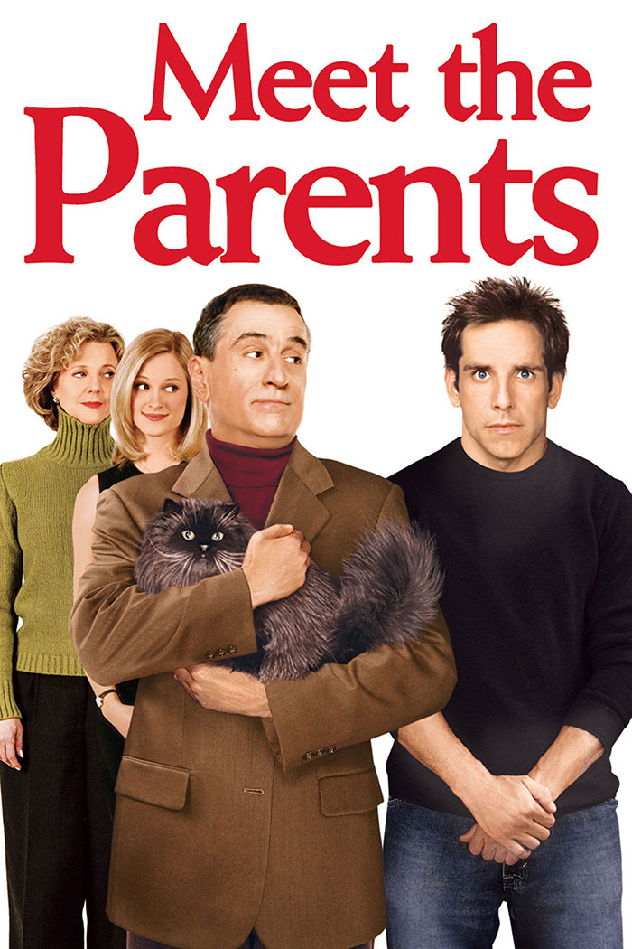 Poster of Meet The Parents movie 
