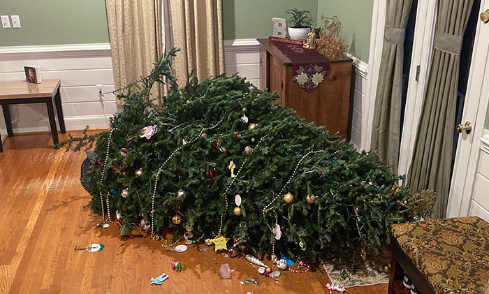 Christmas Tree Got Into The Eggnog
