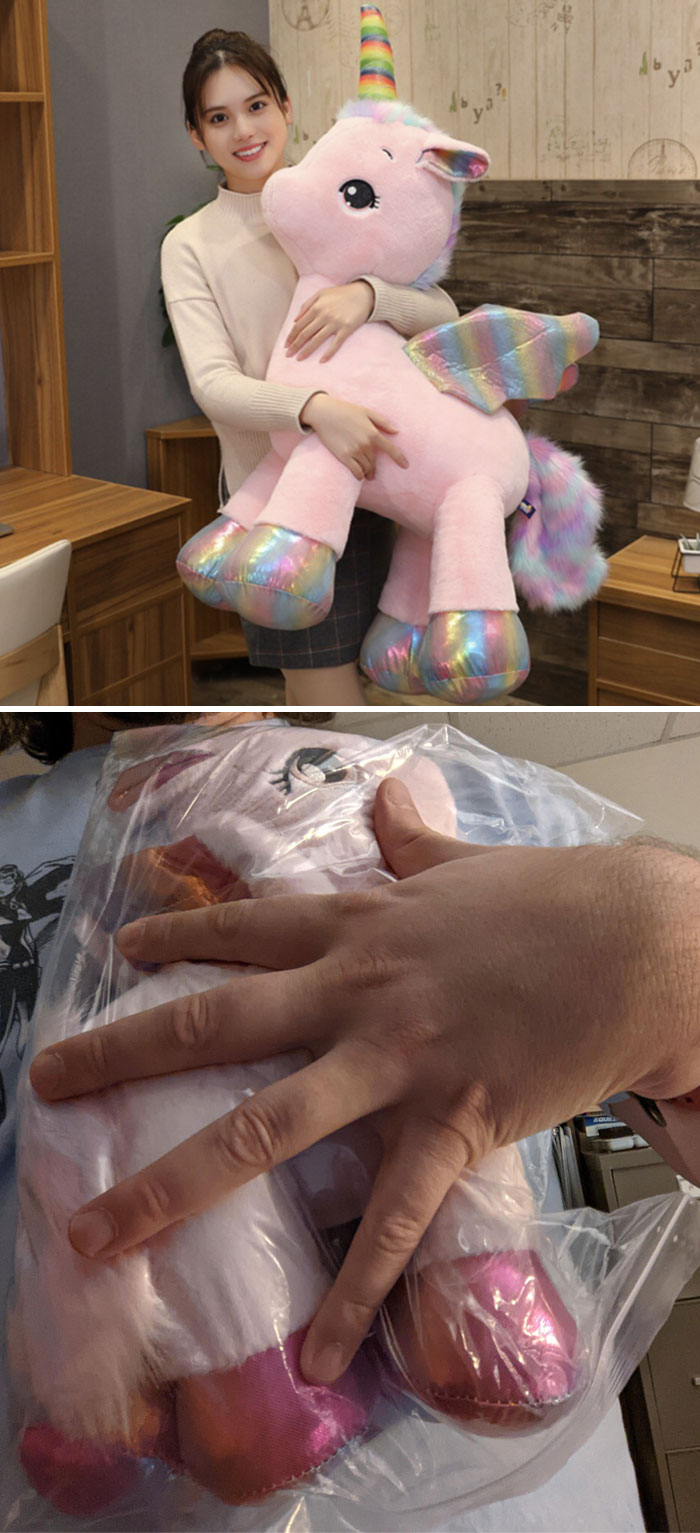 What Was Advertised vs. What I Got For My Niece's Christmas From Walmart
