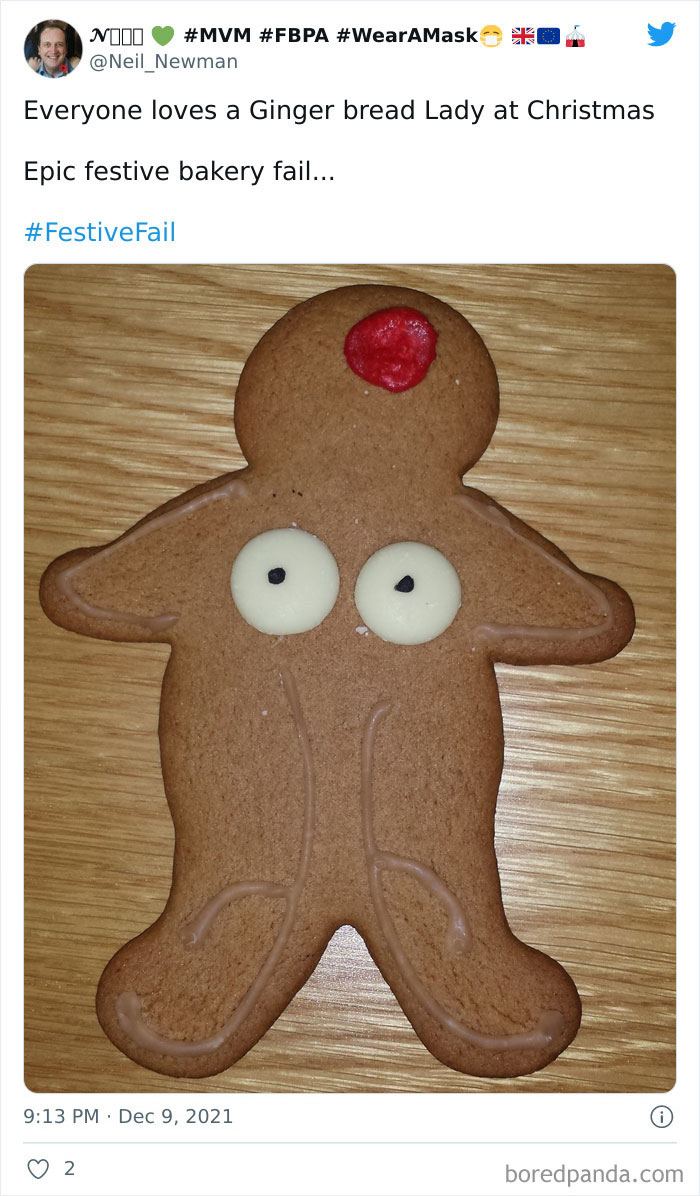 Ginger Cookie Christmas Fail