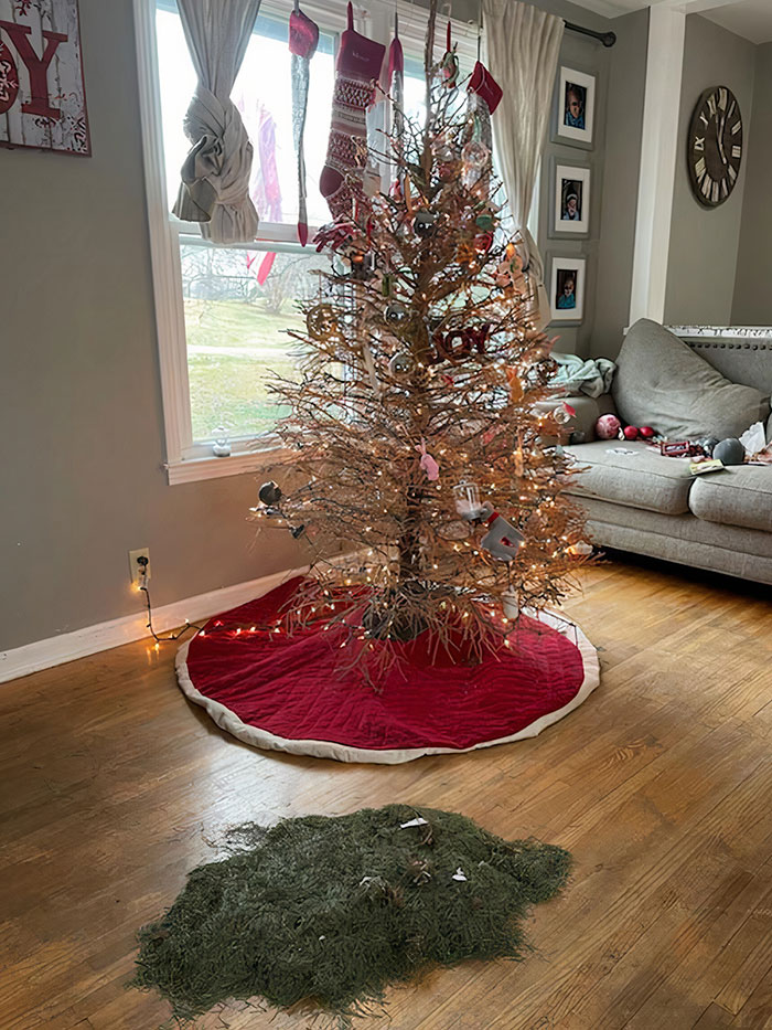 Cuando tu árbol navideño no llega a Navidad