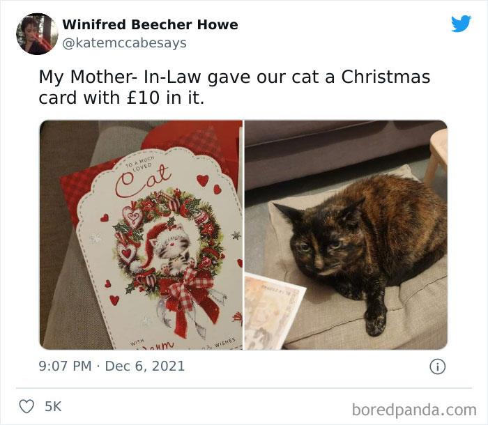 Christmas Card For The Cat