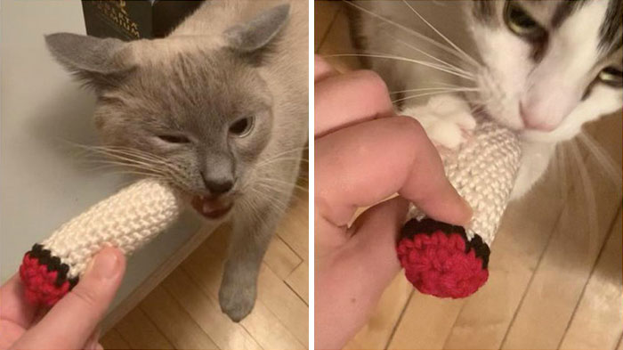 My Cats Got Knitted Cat Nip Doobies For Christmas Because They're Frickin Stoners, Man