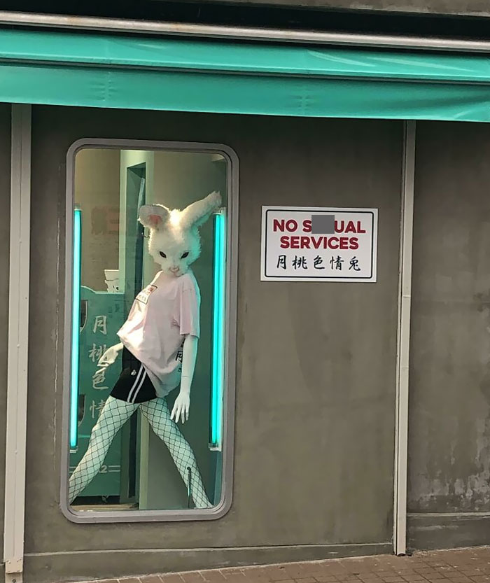 Un maniquí con cabeza de conejo que vi en Japón