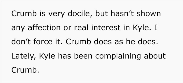 Boyfriend Lists All The Disgusting Things His GF Does With Her Cat, Gets An Instant 'Okay, Bye' Boyfriend Lists All The Disgusting Things His GF Does With Her Cat, Gets An Instant 'Okay, Bye'