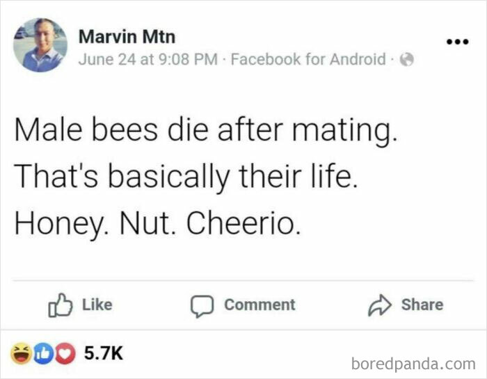Thanks, I Hate Honey Nut Cheerios