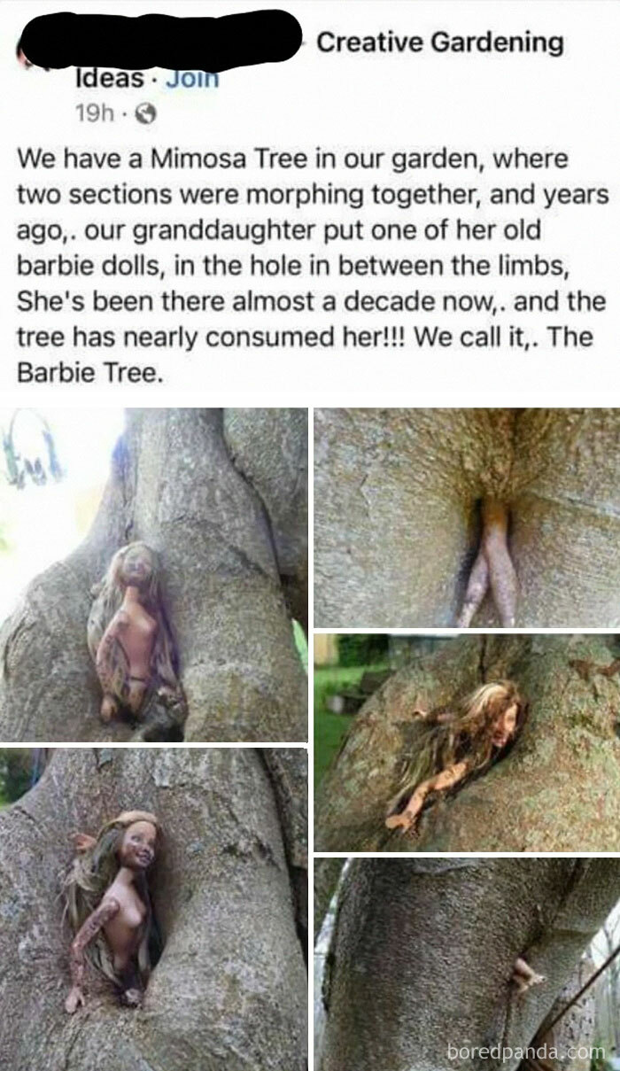 Thanks, I Hate The Barbie Tree