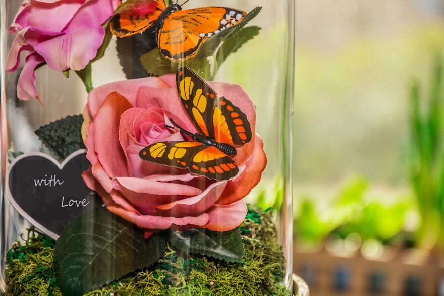 A Rose In Glass - Beauty And The Beast A Rose In Glass - Beauty And The Beast