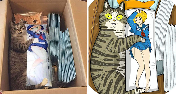 30 Of The Funniest Internet-Famous Cat Pics Get Illustrated By Tactooncat (New Pics)