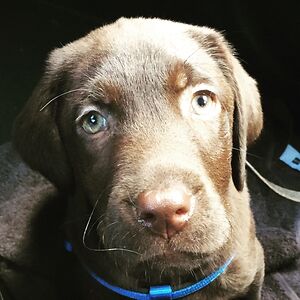 mariskajansen avatar