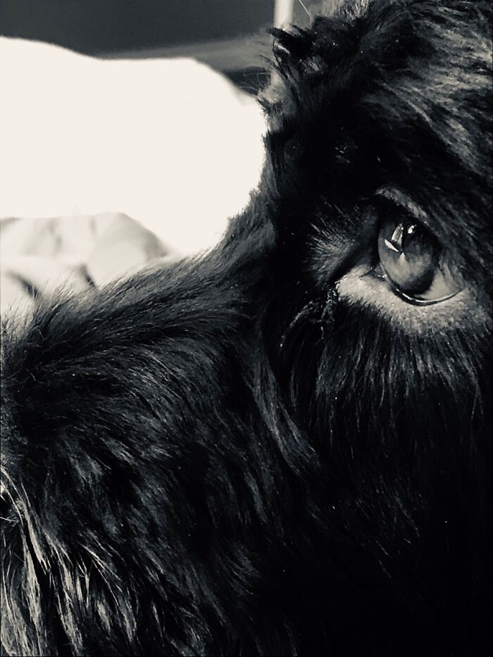 This Is Milo, He Is Usually My Main Subject In My Photography As I Hate People…