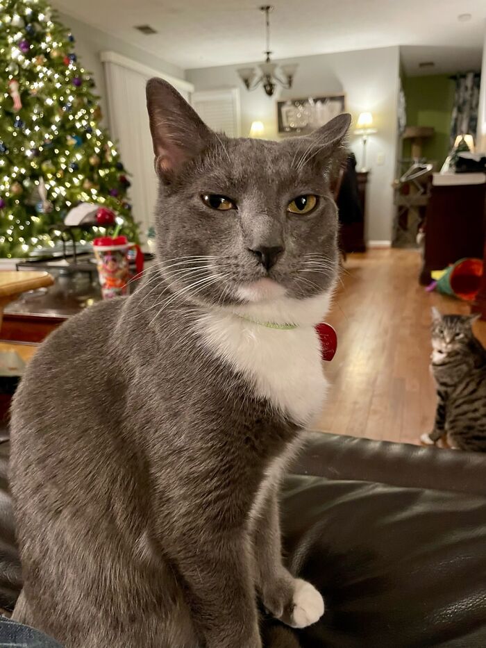 I’m So Disappointed In You.