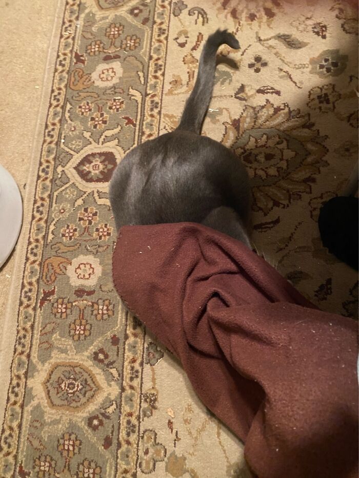 Thor Swears He Is Hidden.