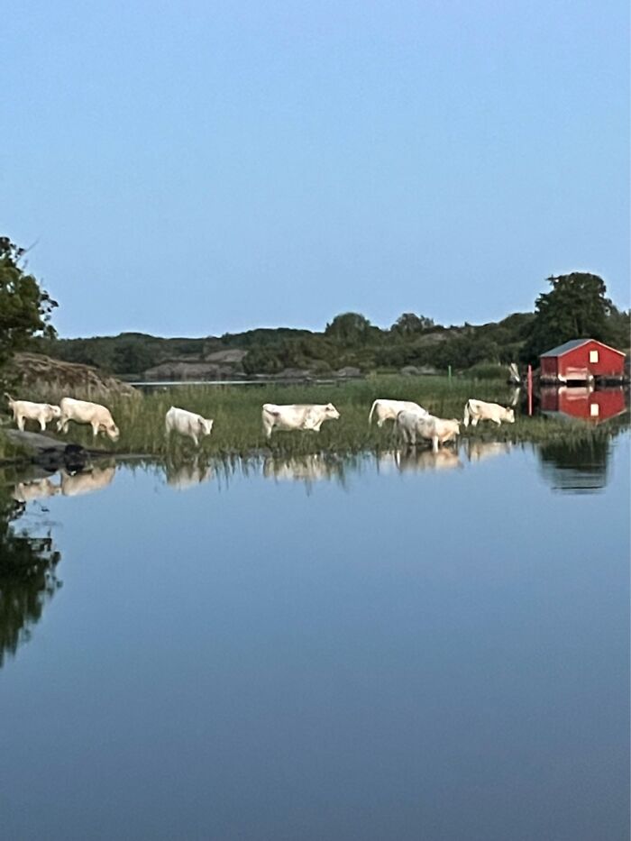 Late Summer Evening In The Archipelago