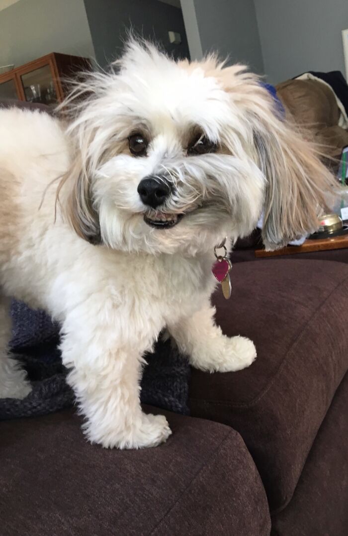 She Either Did Something Already Or Is Devising An Evil Plan