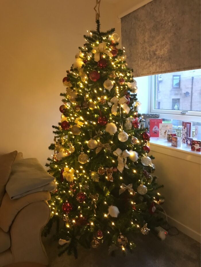 Who Doesn’t Love Their Own Xmas Tree