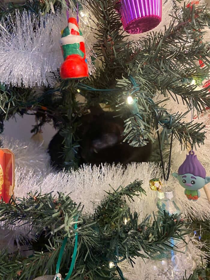 Not My Full Tree, But My 6yo Cat Just Had To Test It Out.