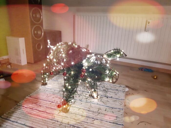 It’s Called „pigsmas Tree“