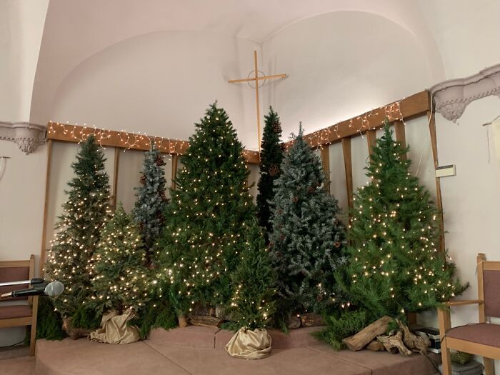 We Got Cats This Year And I Couldn’t Set Up My Trees At Home. They’re At My Church.