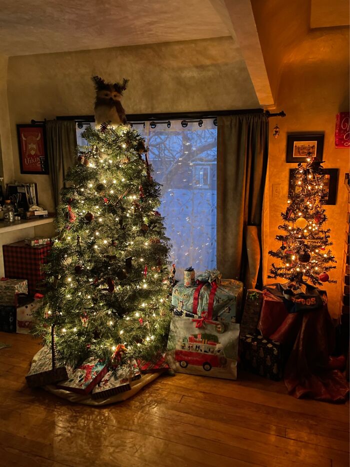 First Year With The Amazing Owl Topper. On The Right Is My Husbands Denver Broncos Tree.