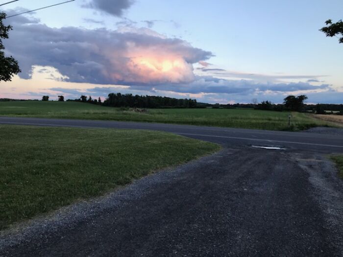 I Take Photos Of Nature Part 2 (12 Pictures) I Take Photos Of Nature Part 2 (12 Pictures)