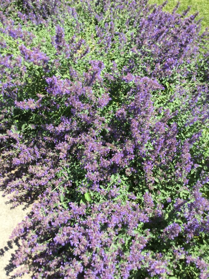 I Take Photos Of Nature Part 2 (12 Pictures) I Take Photos Of Nature Part 2 (12 Pictures)