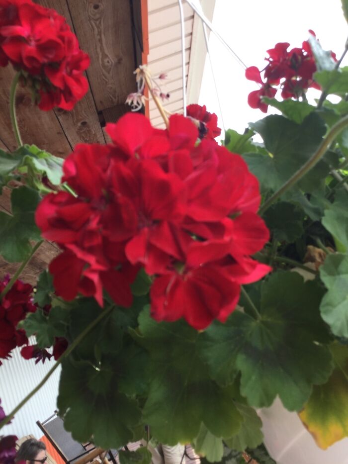 I Take Photos Of Nature Part 2 (12 Pictures) I Take Photos Of Nature Part 2 (12 Pictures)