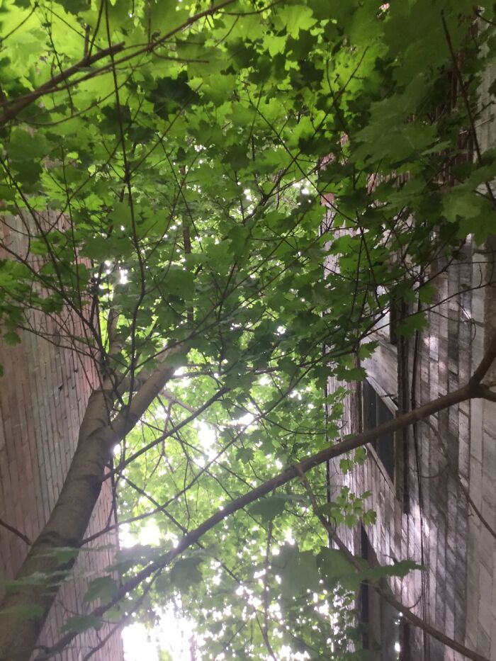 I Take Photos Of Nature Part 2 (12 Pictures) I Take Photos Of Nature Part 2 (12 Pictures)