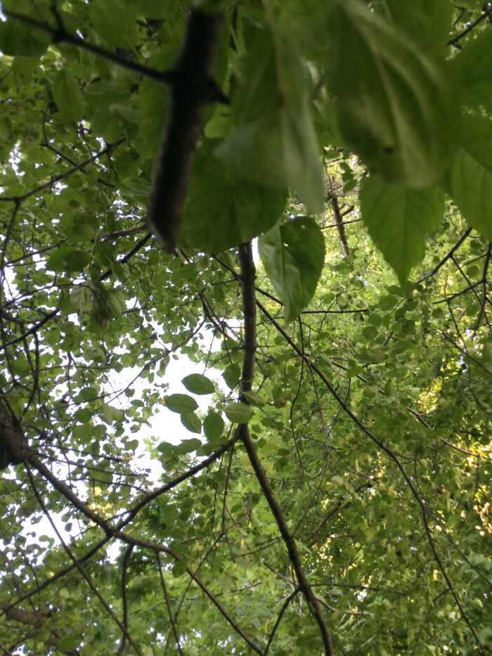 I Take Photos Of Nature Part 2 (12 Pictures) I Take Photos Of Nature Part 2 (12 Pictures)