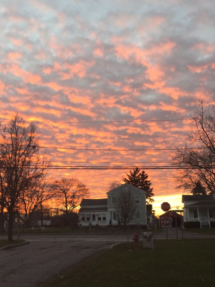 I Take Photos Of Nature Part 2 (12 Pictures) I Take Photos Of Nature Part 2 (12 Pictures)