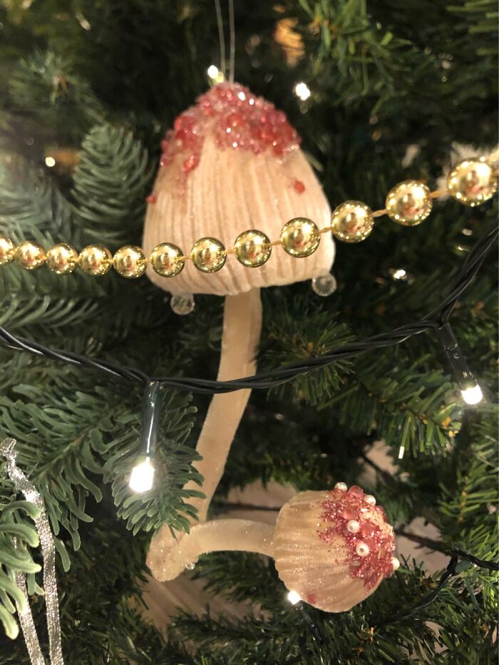 My Adorable Christmas Mushroom