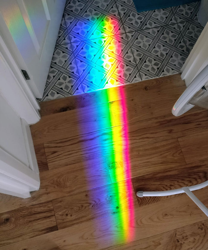 The Intensity Of This Rainbow Refracted Through My Aquarium