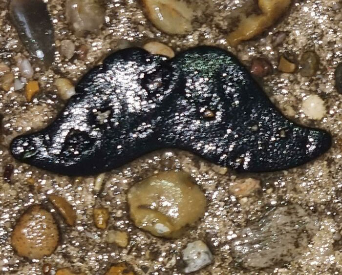My Girlfriend Found This Rock That Looks Like A Moustache