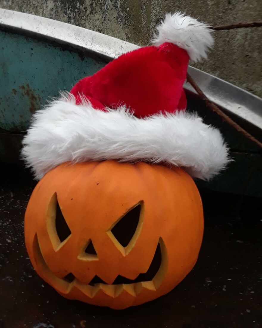 Jack At The Wrecking Yard -I Take Photos Of A Jackolantern At The Wrecking Yard I Work At And Share On My Instagram Account