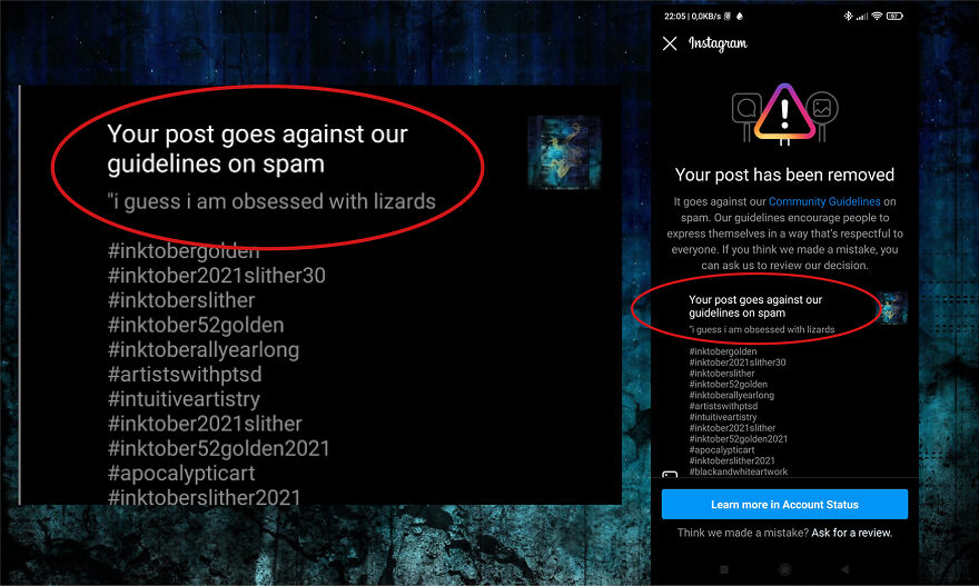 I Created Situation That Harms The Right Of Lizards To Lead An Existence Free Of Spam.