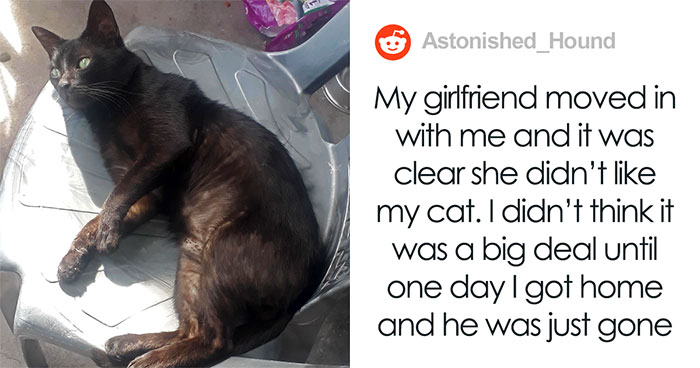 Woman Gets What She Deserves After Kicking Out BF’s Cat From His House When He Wasn’t Around