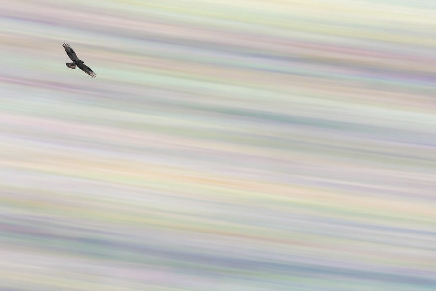 Runner-Up, Nature Of "De Lage Landen:" "Flying Over A Pastel 'Rainbow'" By Ronald Zimmerman