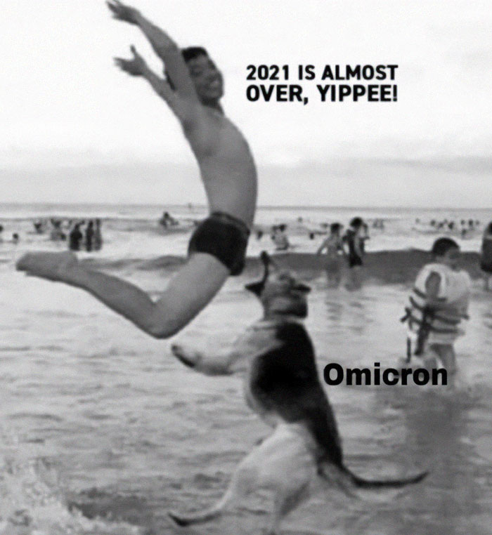 Omicron Memes
