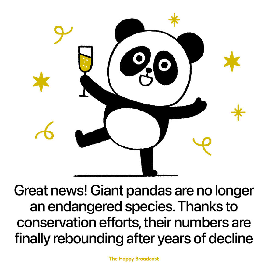 I’m Honestly Fed Up With All The Bad News So I Illustrated The Best News Of 2021
