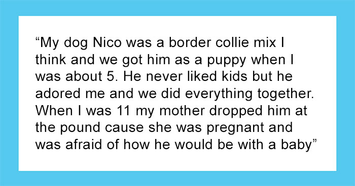 30 Times Pets Creeped Out Their Owners With Their Intelligence