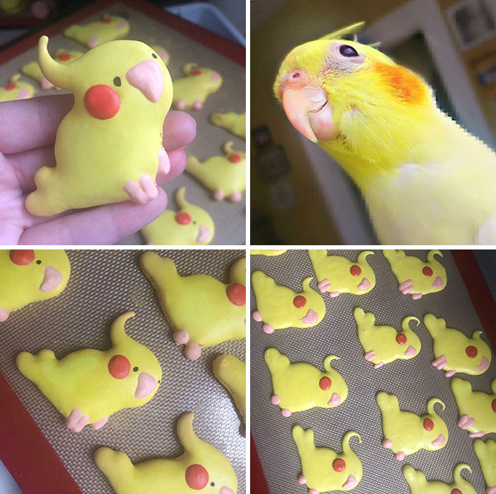 I Was Thinking A Lot About My Late Cockatiel Maui Today, He Passed Away Suddenly Last Year And His Hatch-Day Was In February. Decided To Make Some Maui Macarons To Honour Him. I Miss His Dorky Little Face So Much