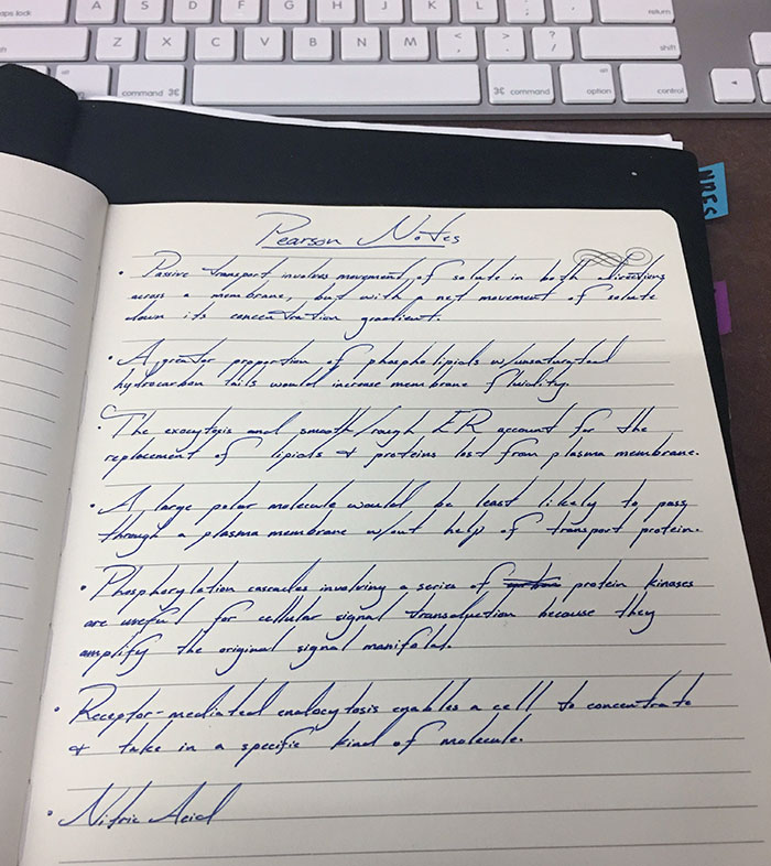 My Friend's Handwriting