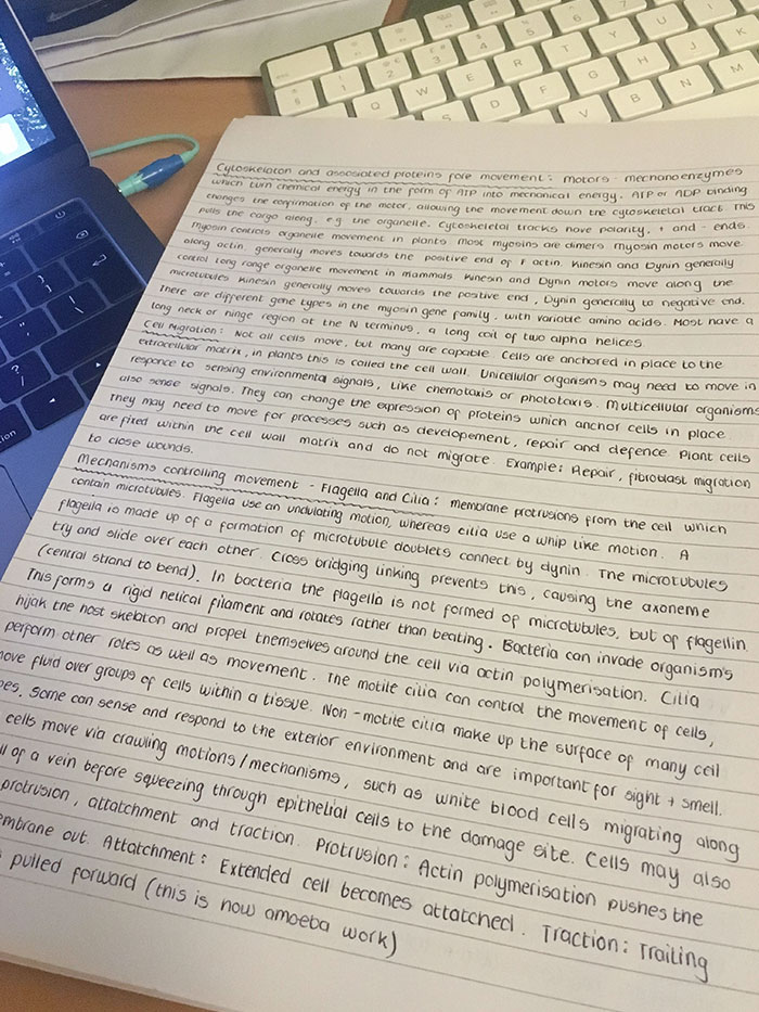 Saw A Handwriting Post Here The Other Day, I’ve Been Told My Writing In The Middle Of The Lines Is Satisfying