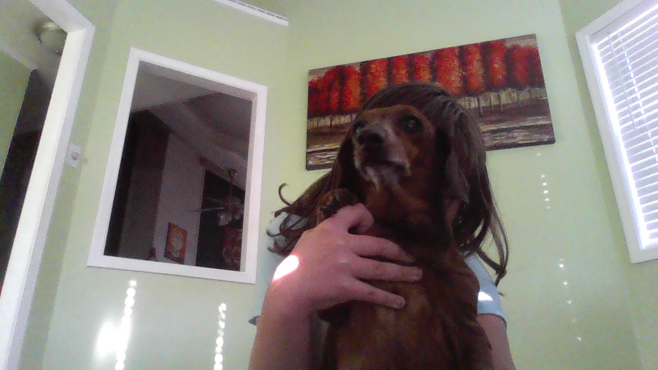 Post Your Pet And Is You Dont Have One Just Whon You Want To Have