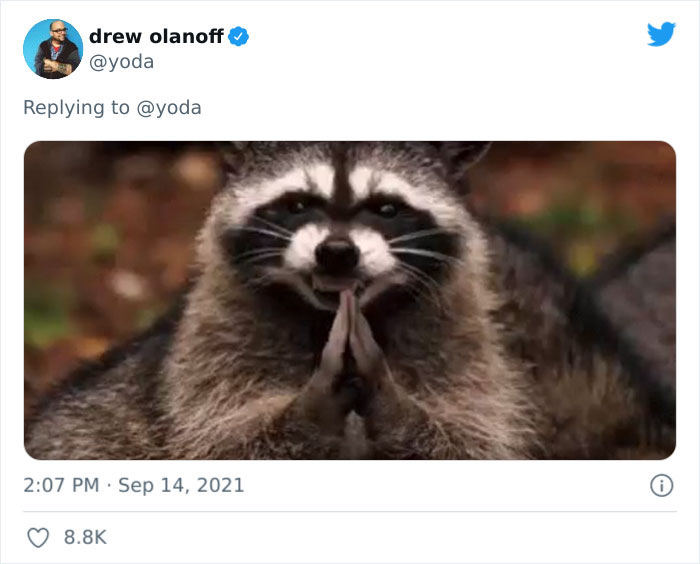 Mission "Raccoon Removal": This Guy’s Live Tweets About How He’s Trying To Get A Raccoon Out Of His House Are Seriously Hilarious Mission "Raccoon Removal": This Guy’s Live Tweets About How He’s Trying To Get A Raccoon Out Of His House Are Seriously Hilarious